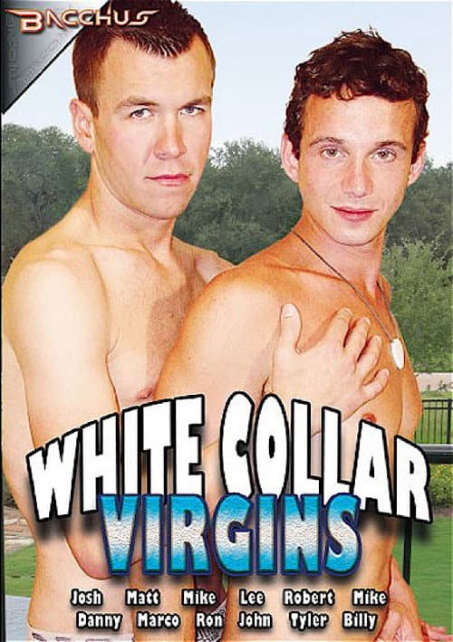White Collar Virgins (2011) poster