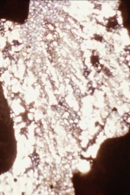Parties visible et invisible d'un ensemble sous tension (2009) poster