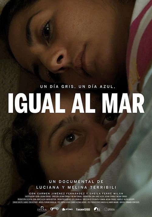 Un día gris, un día azul, igual al mar (2012) poster