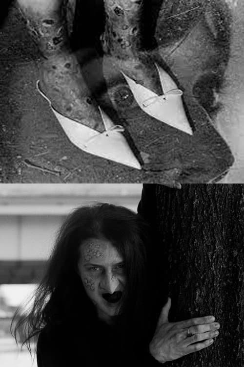 The Pointy Slippers (2023) poster