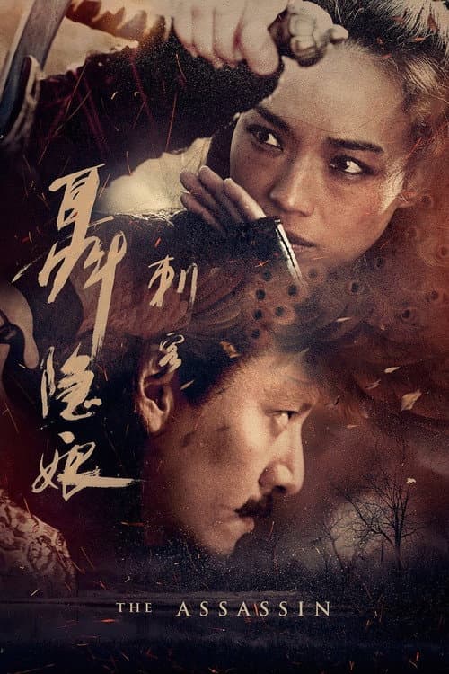 Ci Ke Nie Yin Niang (2015) poster