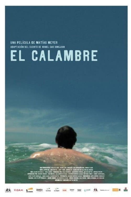 El calambre (2009) poster