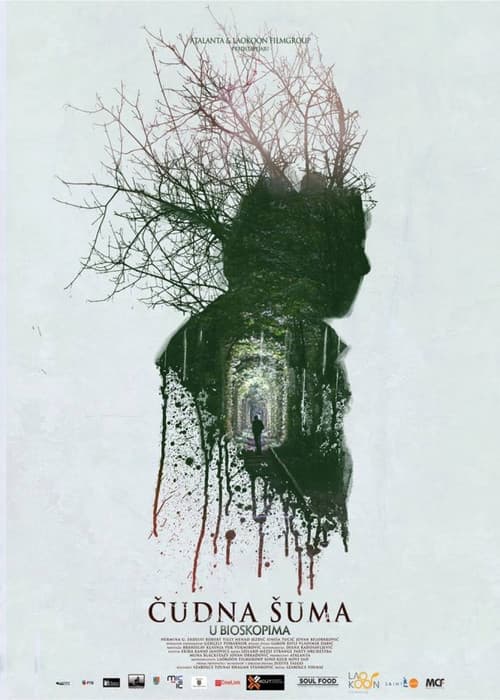 Čudna šuma (2014) poster
