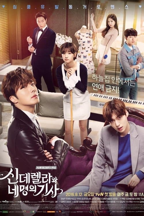 신데렐라와 네명의 기사 (2016) poster