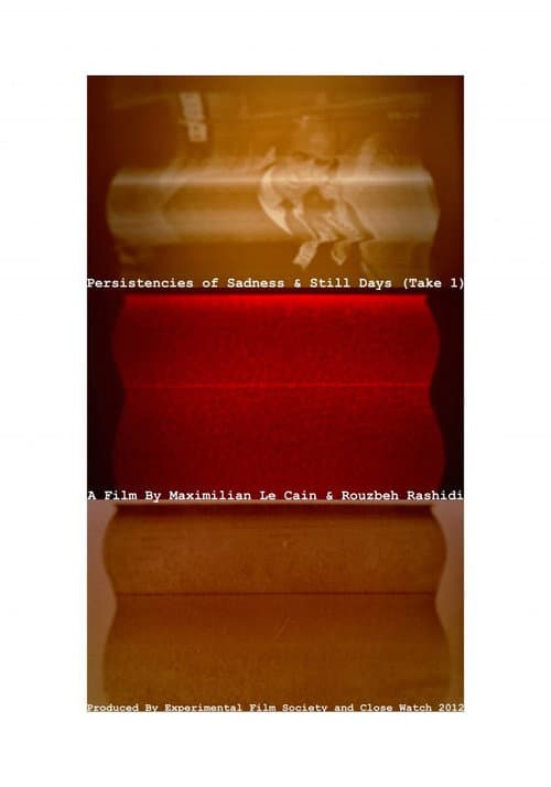 Persistencies of Sadness & Still Days (Take 1) (2012) poster