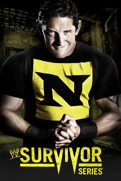 WWE Survivor Series 2010 (2010) poster