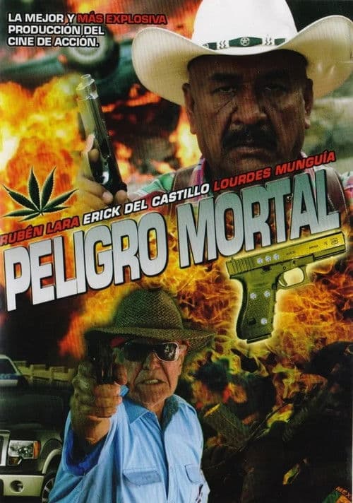 Peligro Mortal (2012) poster