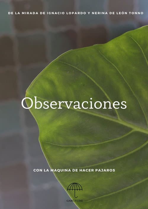 Observaciones (2022) poster