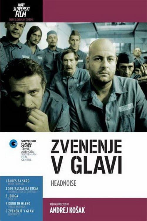 Zvenenje v glavi (2002) poster