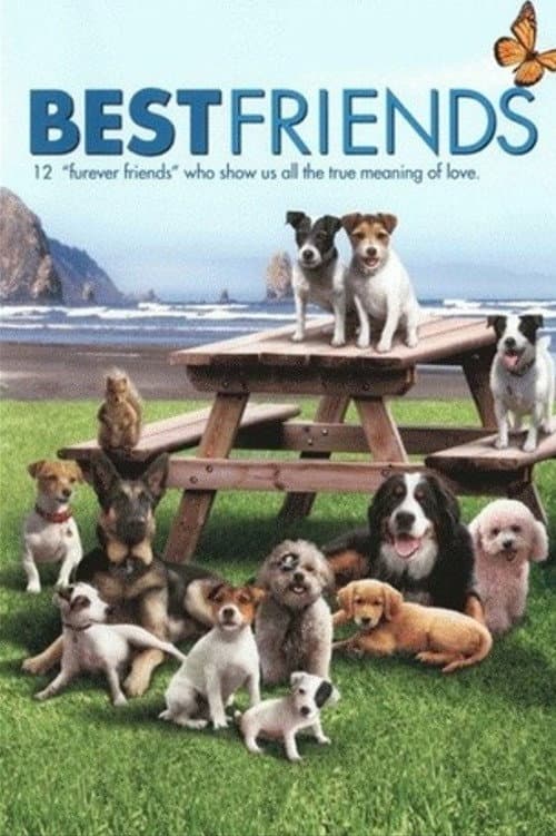 Best Friends (2014) poster