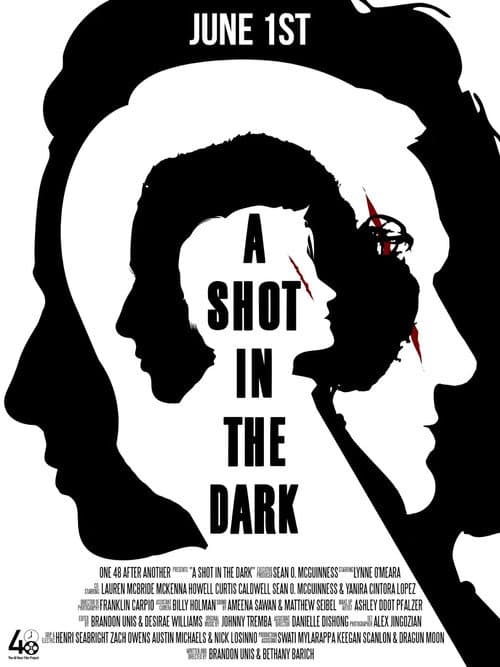 A Shot in the Dark (2026) poster