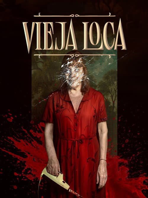 Vieja loca (2025) poster