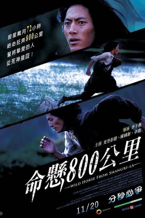 命悬800公里 (2009) poster