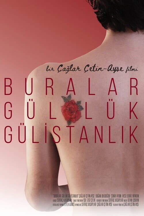 Buralar Güllük Gülistanlık (2023) poster