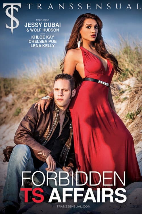 Forbidden TS Affairs (2021) poster