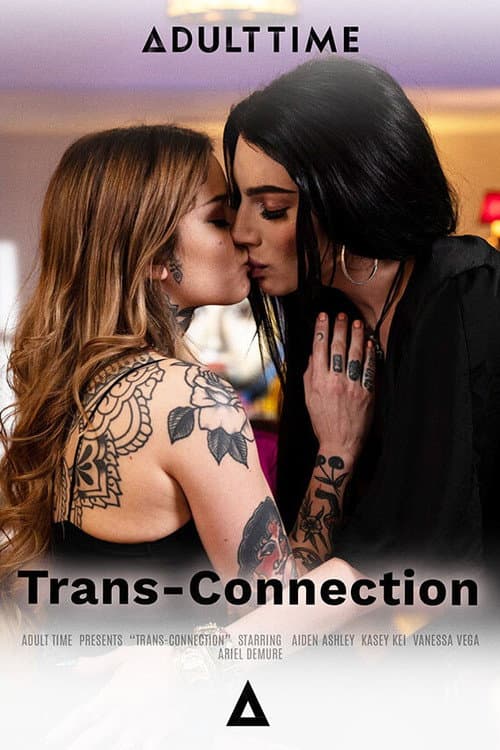 Trans-Connection (2024) poster