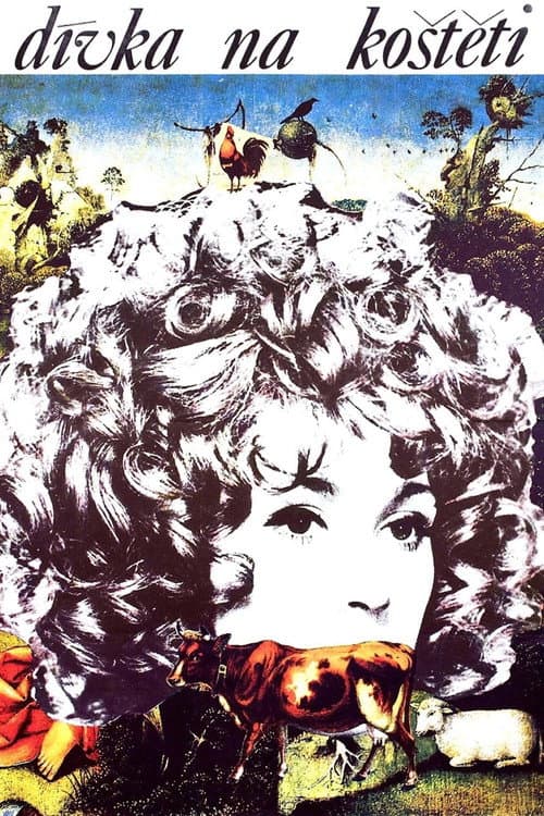 Dívka na koštěti (1972) poster