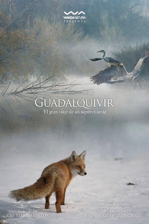 Guadalquivir (2013) poster