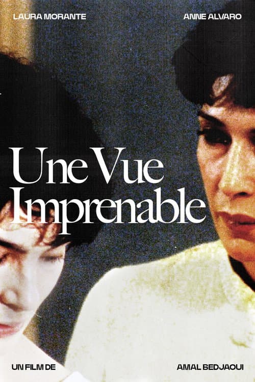 Une Vue Imprenable (1995) poster