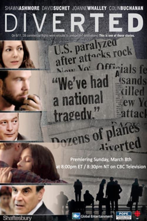 Diverted (2009) poster