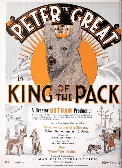 King of the Pack (1926) poster
