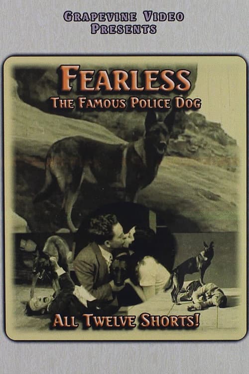 The Silent Trailer (1926) poster