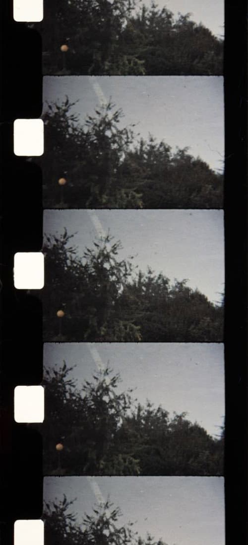Soleil d'Automne (1989) poster
