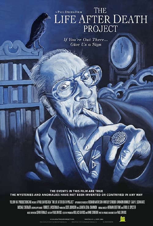 The Life After Death Project (2013) poster