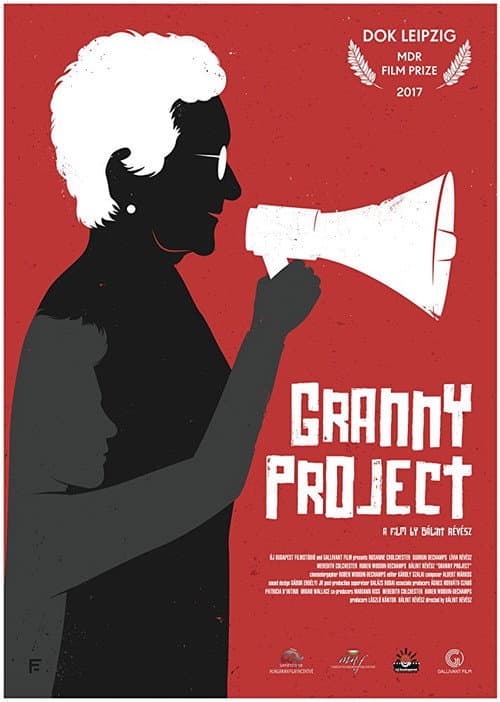Nagyi projekt (2017) poster