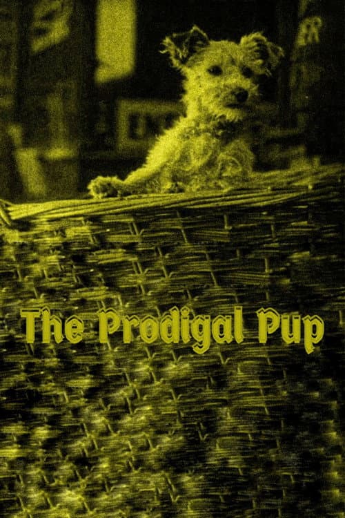 The Prodigal Pup (1929) poster