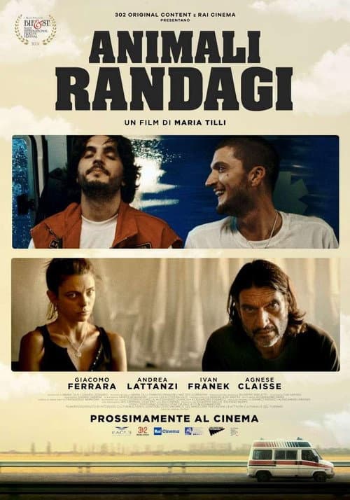 Animali randagi (2024) poster