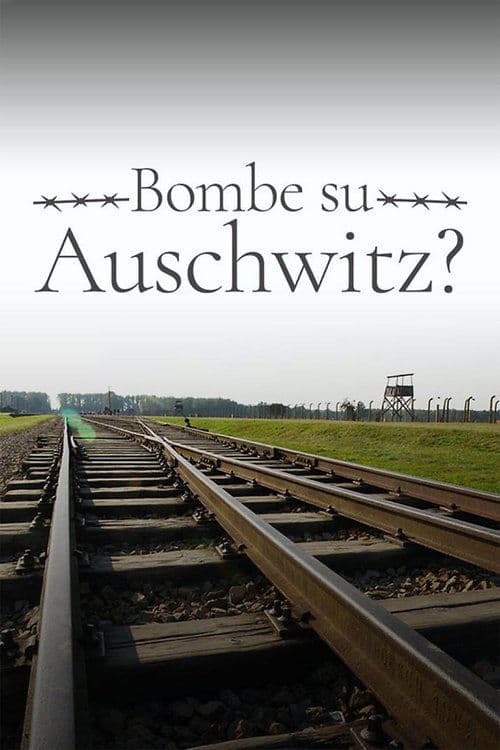 Bombe su Auschwitz? (2019) poster