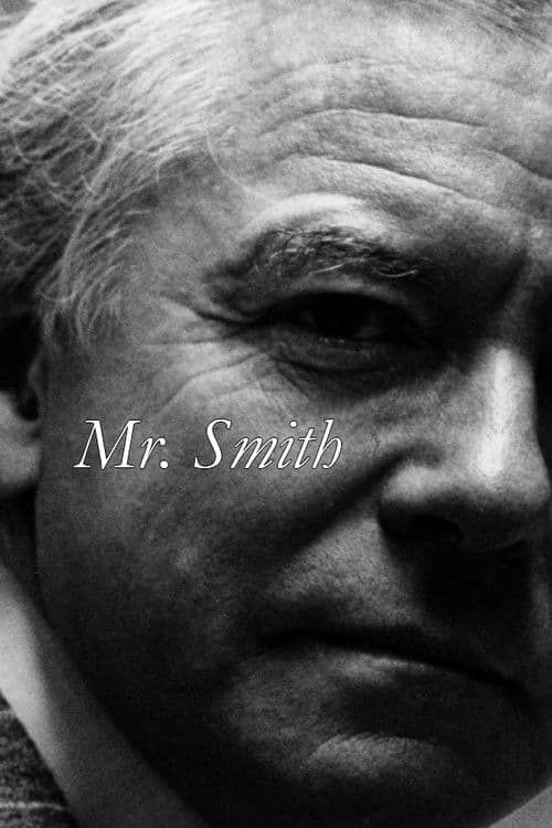 Mr. Smith (1976) poster