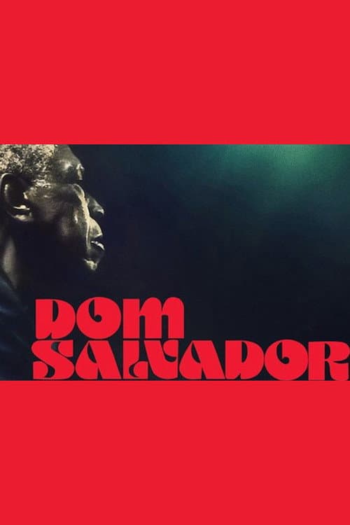 Dom Salvador & Abolição (2020) poster