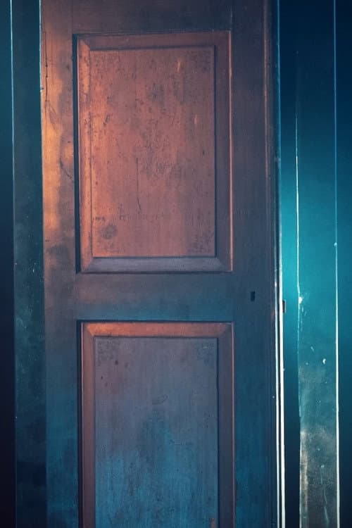 Rood (2021) poster