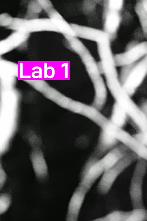 Lab 1 (2026) poster