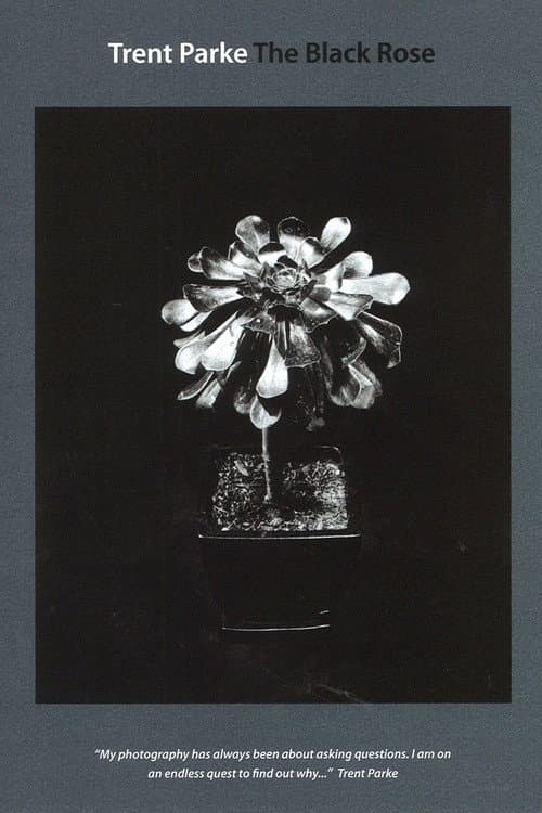Trent Parke: The Black Rose (2015) poster