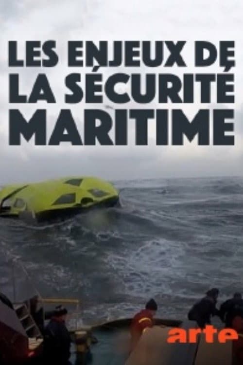 Sicherheit auf See (2015) poster