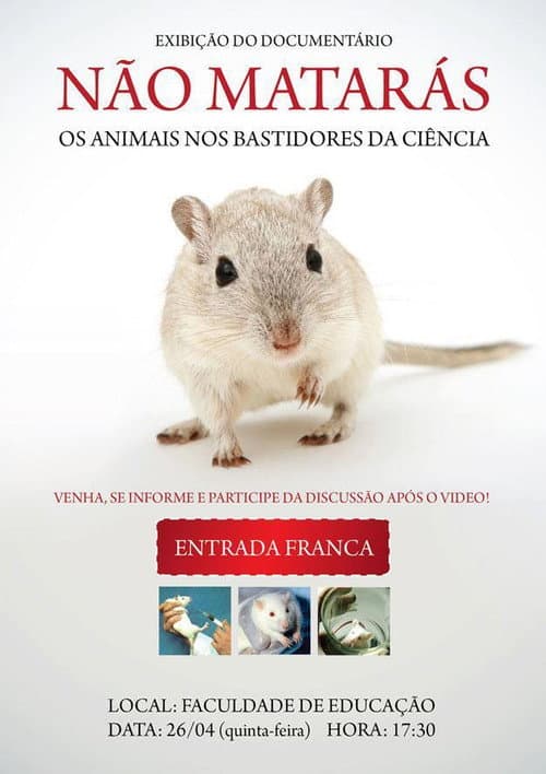 Não Matarás (2006) poster