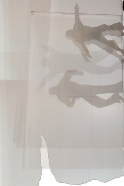 ARPEGIA (2023) poster