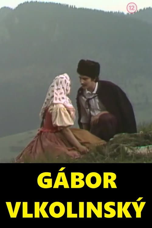 Gábor Vlkolinský (1978) poster