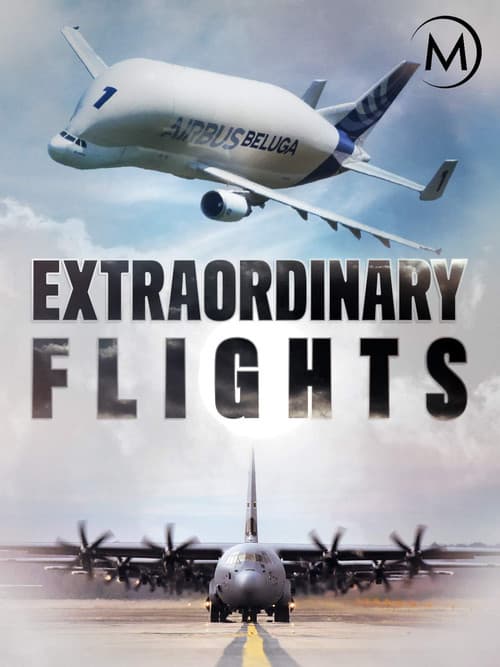 Extraordinary Flights (2017) poster