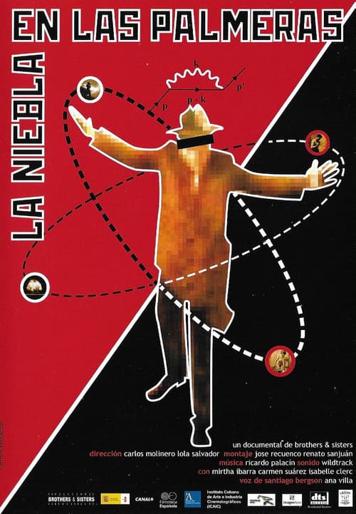 La niebla en las palmeras (2006) poster