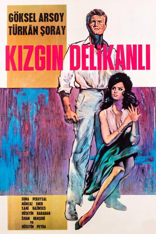 Kızgın Delikanlı (1964) poster