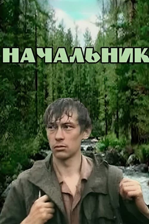 Начальник (1980) poster