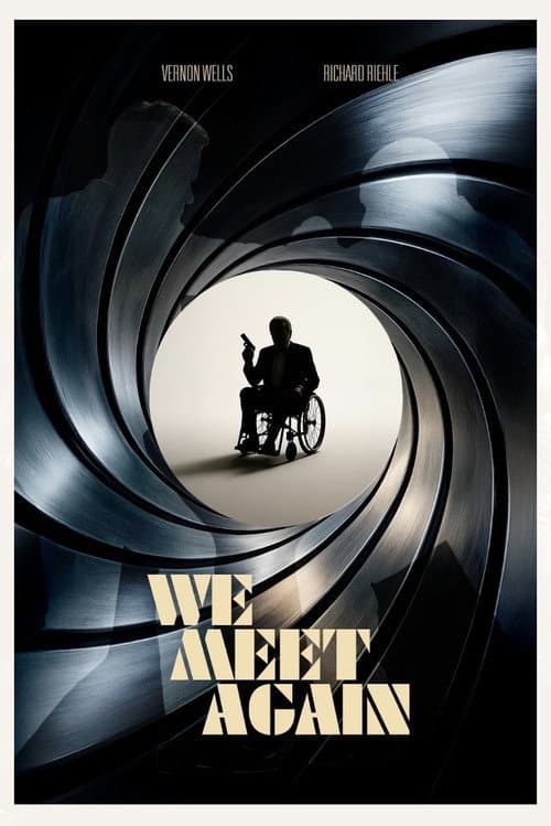 We Meet Again (2025) poster