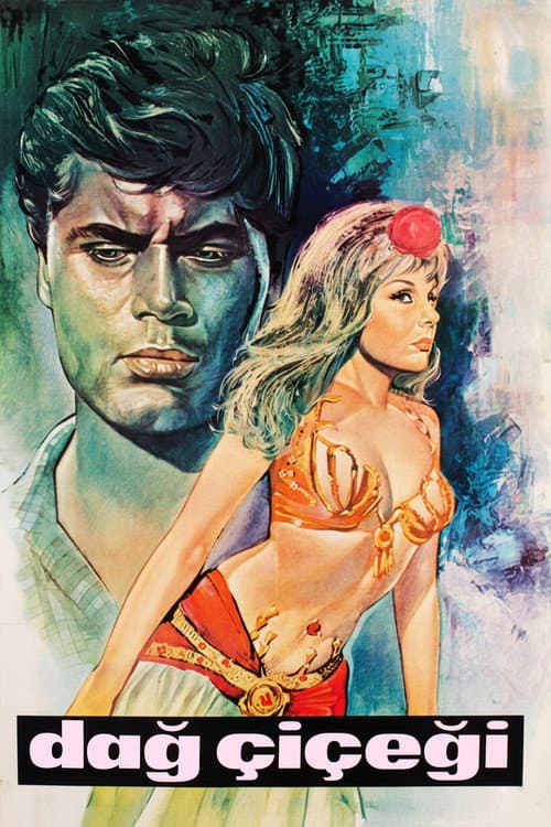 Dağ Çiçeği (1965) poster