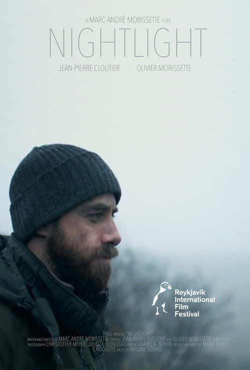 Nightlight (2017) poster