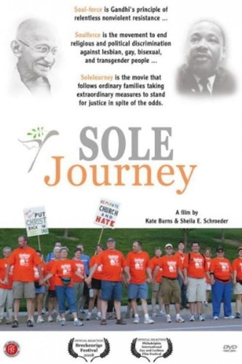 Sole Journey (2009) poster