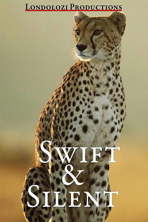 Swift and Silent (1990) poster